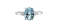 14K White Gold Aquamarine and 0.10cttw Canadian Diamond Ring - 4 / White gold