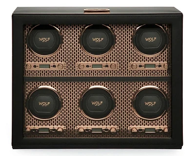 Axis 6 Piece Watch Winder 