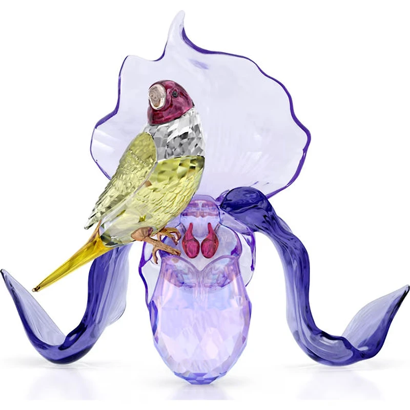 Swarovski - Idyllia Gouldian Finch and Orchid 5675211