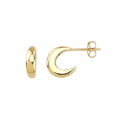 10K Yellow Gold  Earrings
