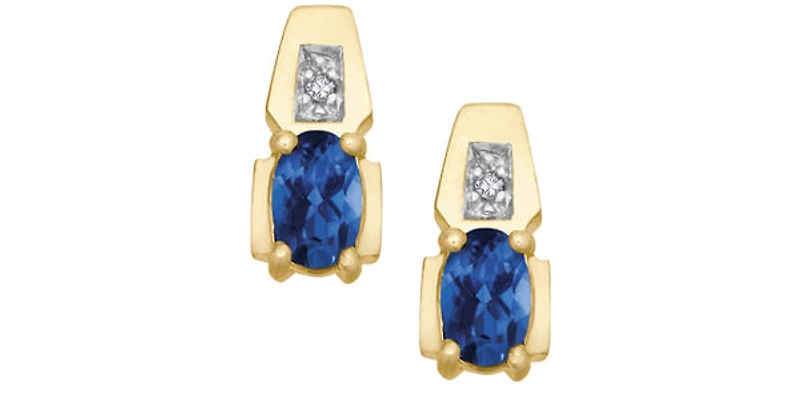 10K Yellow Gold Sapphire & Diamond Earring