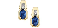 10K Yellow Gold Sapphire & Diamond Earring