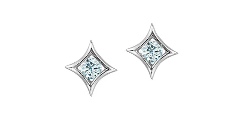 10K White Gold 0.25cttw Lab Grown Diamond Earrings