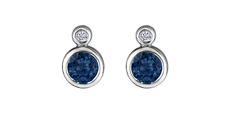 10K White Gold Sapphire and 0.01cttw Diamond Earrings