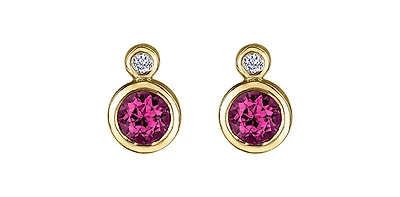10K Yellow Gold Ruby and 0.01cttw Diamond Earrings