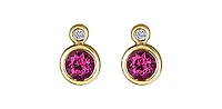 10K Yellow Gold Ruby and 0.01cttw Diamond Earrings