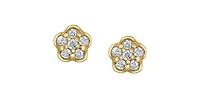 10K Yellow Gold cttw Diamond Stud Earrings