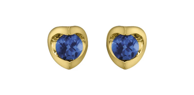10K Yellow Gold Sapphire Earring