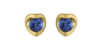 10K Yellow Gold Sapphire Earring