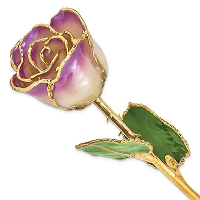 24K Lacquer Dipped Gold Trimmed Amethyst Real Rose