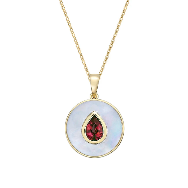 10K Yellow Gold Garnet and Mother of Pearl pendant with chain