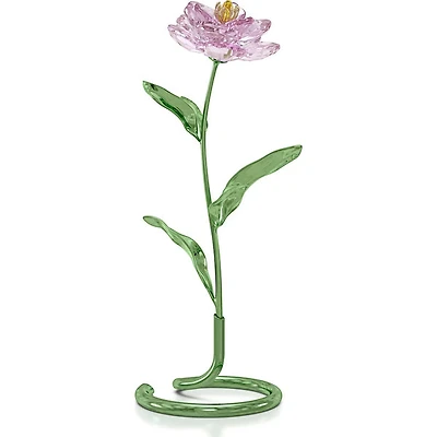 Swarovski Florere: Peony - 5668065