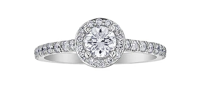 18K White Gold and Palladium 0.75cttw Canadian Diamond Halo Engagement Ring - / 4.5