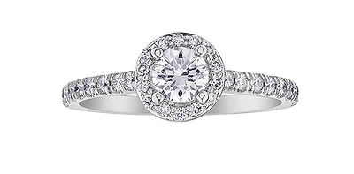 18K White Gold and Palladium 1.25cttw Canadian Diamond Halo Engagement Ring - / 4.5