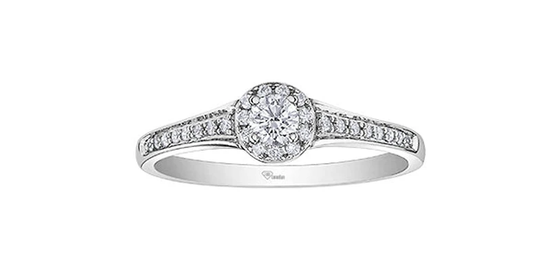10K White Gold 0.25cttw Canadian Diamond Engagement Ring, Size 6.5