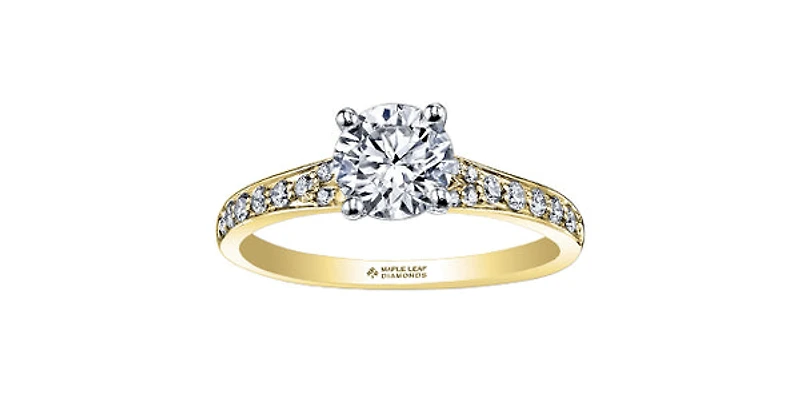 18K Yellow Gold 0.50cttw Round Brilliant Cut Canadian Diamond Engagement Ring - / 14K White