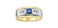 10K Yellow Gold Sapphire and Diamond Gents Ring