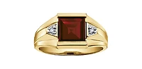 10K Yellow Gold 3.0cttw Genuine Garnet & 0.03cttw Diamond Gents Ring, 10 - /