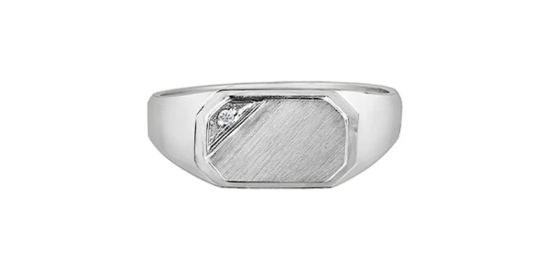 10K White Gold 0.007cttw Diamond Signet Ring - /