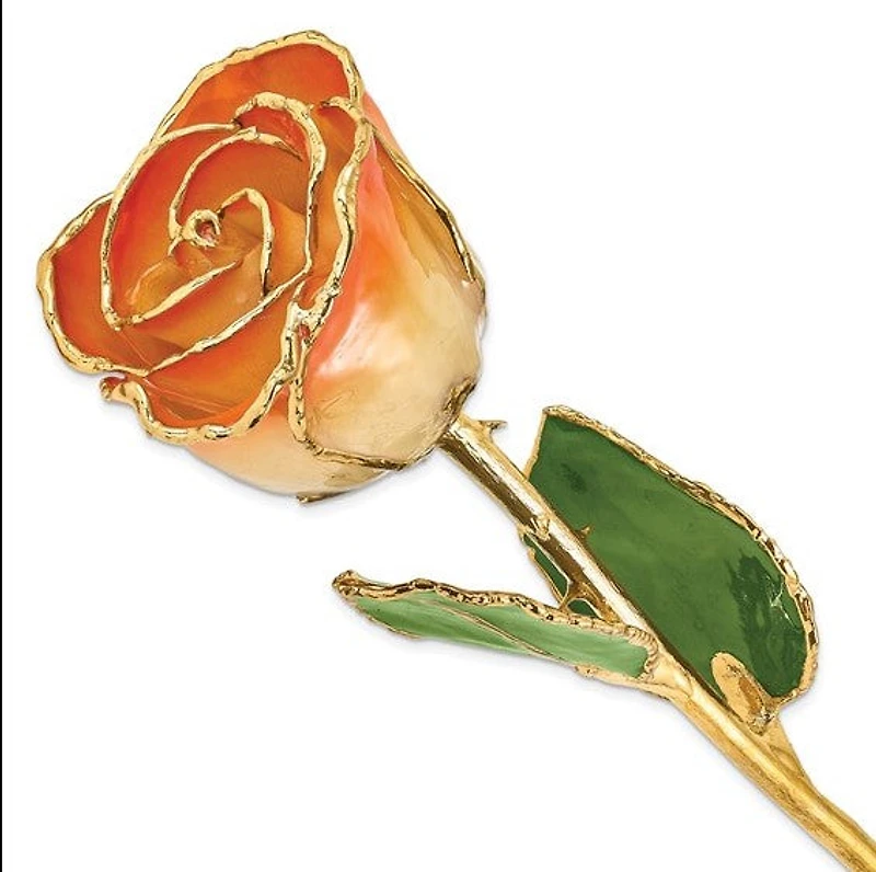 24K Gold Dipped Lacquered White and Orange Genuine Rose
