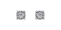 10K White Gold Diamond Earring