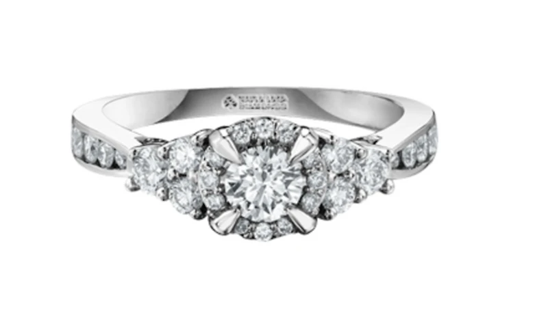18K White Gold/Palladium Alloy (hypoallergenic) 1.00cttw Halo & Channel Set Diamond Ring - Gold /