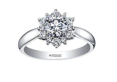 18K White Gold/Palladium Alloy (hypoallergenic) 0.60-1.66cttw Round Brilliant Flower Halo Diamond Ring - Gold / 0.60 Carat Total