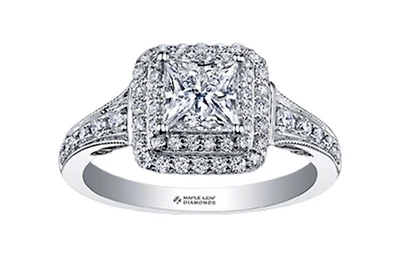 18K White Gold/Palladium Alloy (hypoallergenic) 0.65-1.50cttw Princess Shape Double Halo Diamond Ring - / Carat Total 5