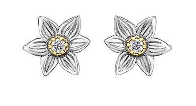 14K White & Yellow Gold 0.12cttw Manitoba Provincial Flower Diamond Stud Earrings