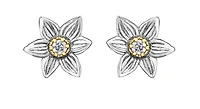14K White & Yellow Gold 0.12cttw Manitoba Provincial Flower Diamond Stud Earrings