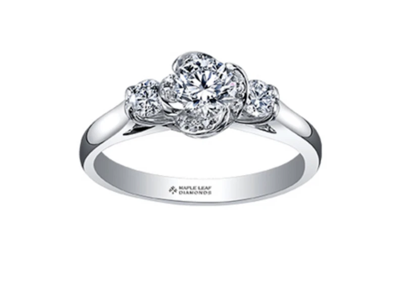 18K White Gold Palladium Alloy (hypoallergenic) 0.50-0.80cttw Round Brilliant 3 Stone Canadian Diamond Engagement Ring - / 0.50 Carat Total