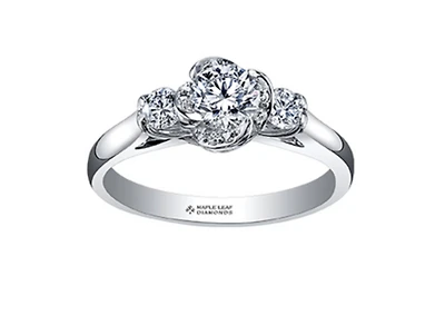 18K White Gold Palladium Alloy (hypoallergenic) 0.50-0.80cttw Round Brilliant 3 Stone Canadian Diamond Engagement Ring - / 0.50 Carat Total