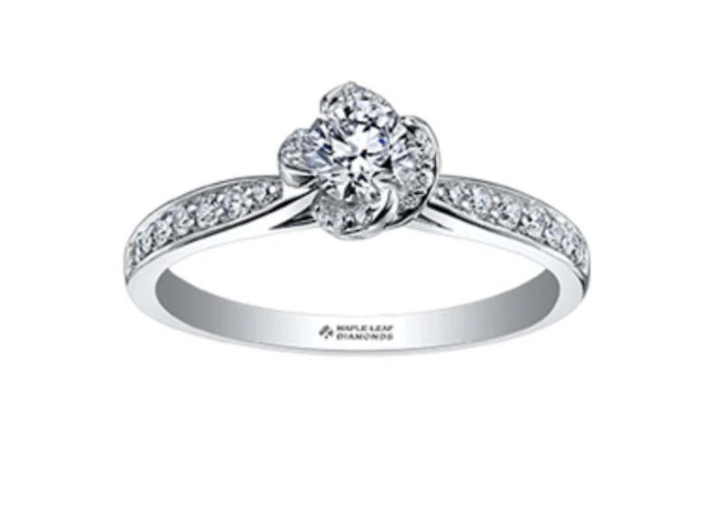 18K White & Yellow Gold Palladium Alloy (hypoallergenic) 0.60-0.80cttw Round Brilliant Canadian Diamond Engagement Ring - / 0.60 Carat Total