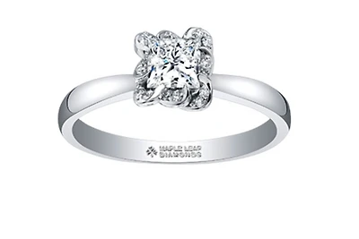18K White Gold Palladium Alloy (hypoallergenic) 0.33-1.08cttw Princess Cut Canadian Diamond Engagement Ring - / 0.33 Carat Total