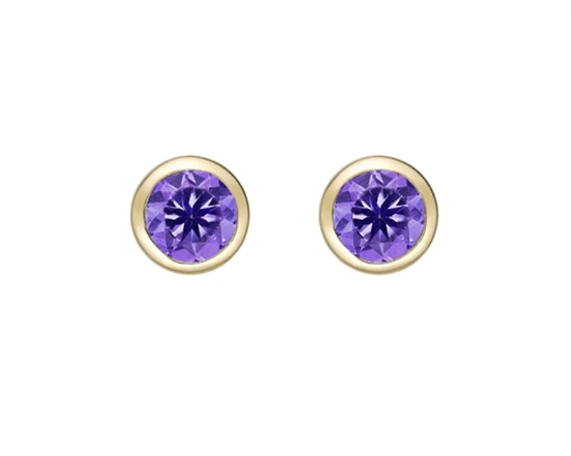 10K Yellow Gold 0.50cttw Round Brilliant Cut Amethyst Bezel Set Stud Earrings
