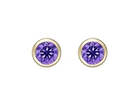 10K Yellow Gold 0.50cttw Round Brilliant Cut Amethyst Bezel Set Stud Earrings