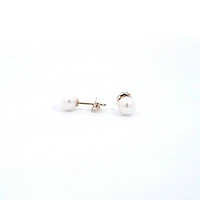 14K Yellow Gold 5.5-6.0mm Cultured Pearl Earrings with Butterfly Backs