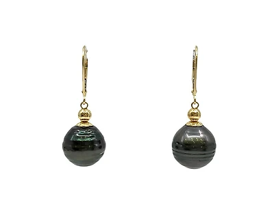 14K Yellow Gold 12mm Tahitian Pearl Earrings with Lever Backs