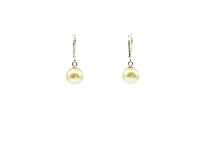 14K Yellow Gold South Sea Pearl 9-10mm Earrings