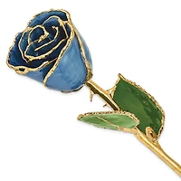 24K Lacquer Dipped Gold Trimmed Navy Pearl Real Rose