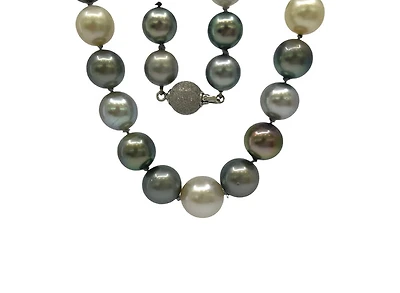 14K White Gold 10-13mm Multi Color Tahitian Pearl Strand - 18"