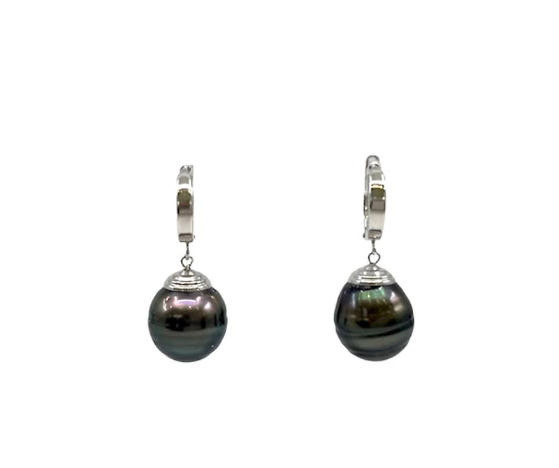 14K Gold Tahitian Pearl Dangle Earrings with Hoop Closure