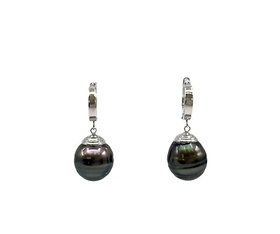 14K Gold Tahitian Pearl Dangle Earrings with Hoop Closure