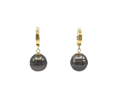 14K Yellow Gold Tahitian Pearl Dangle Earrings with Hoop Closure