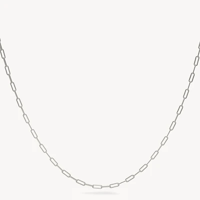 Sterling Silver Essential Clip Chain Necklace