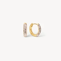 Champagne Always On Sparkle Hoop Earrings