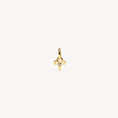 Zodiac Charm