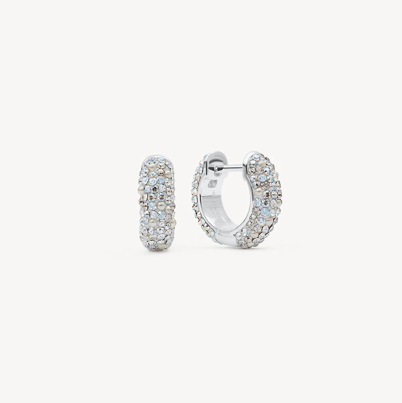 Glitz and Aurora Borealis Sparkle Reversible Hoop Earrings