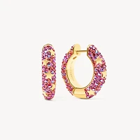 Wildflower Star Studded Medium Sparkle Hoop Earrings