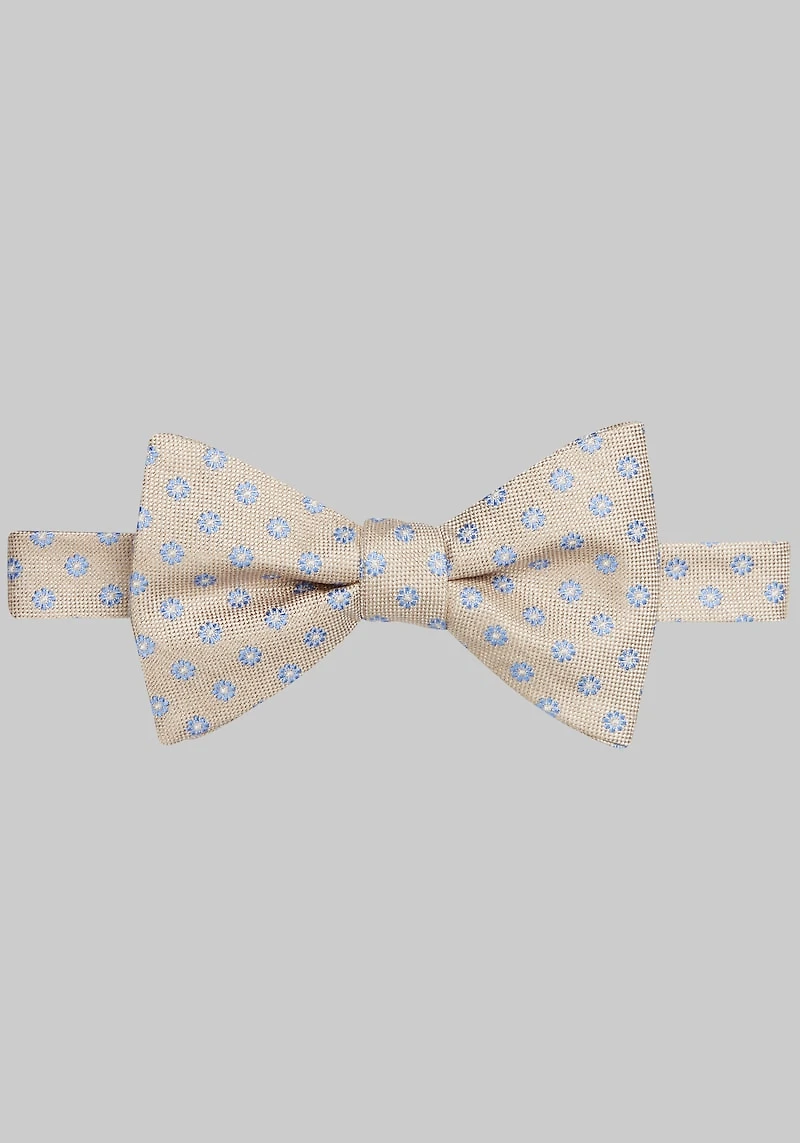 Men's Jos. A. Bank Marguerite Floral Pre-Tied Bow Tie at Jos. A. Bank, Taupe,